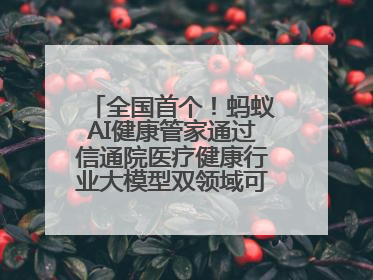 全国首个！蚂蚁AI健康管家通过信通院医疗健康行业大模型双领域可信评估